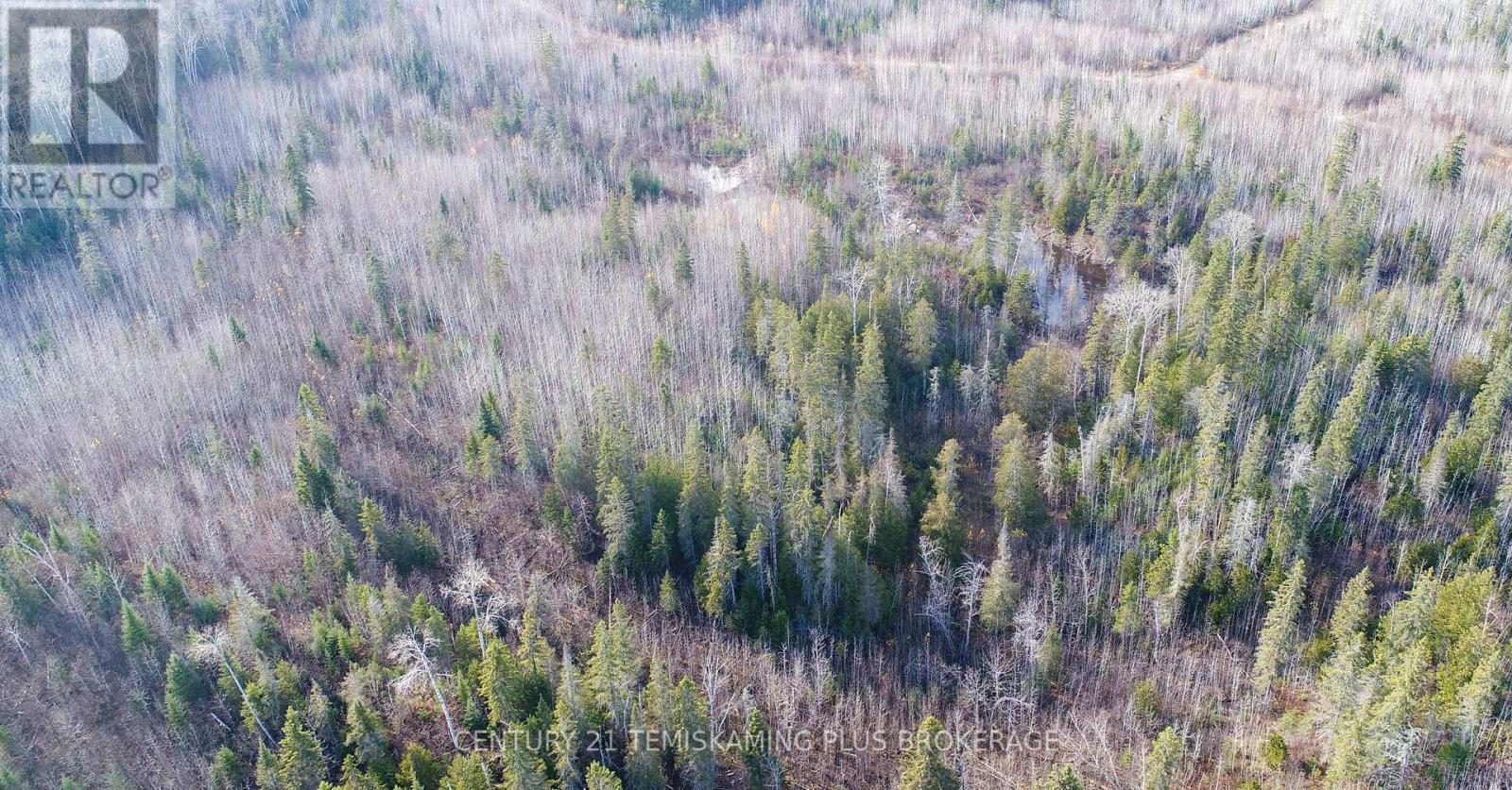 LOT 11 CON 4, LONG LAKE
