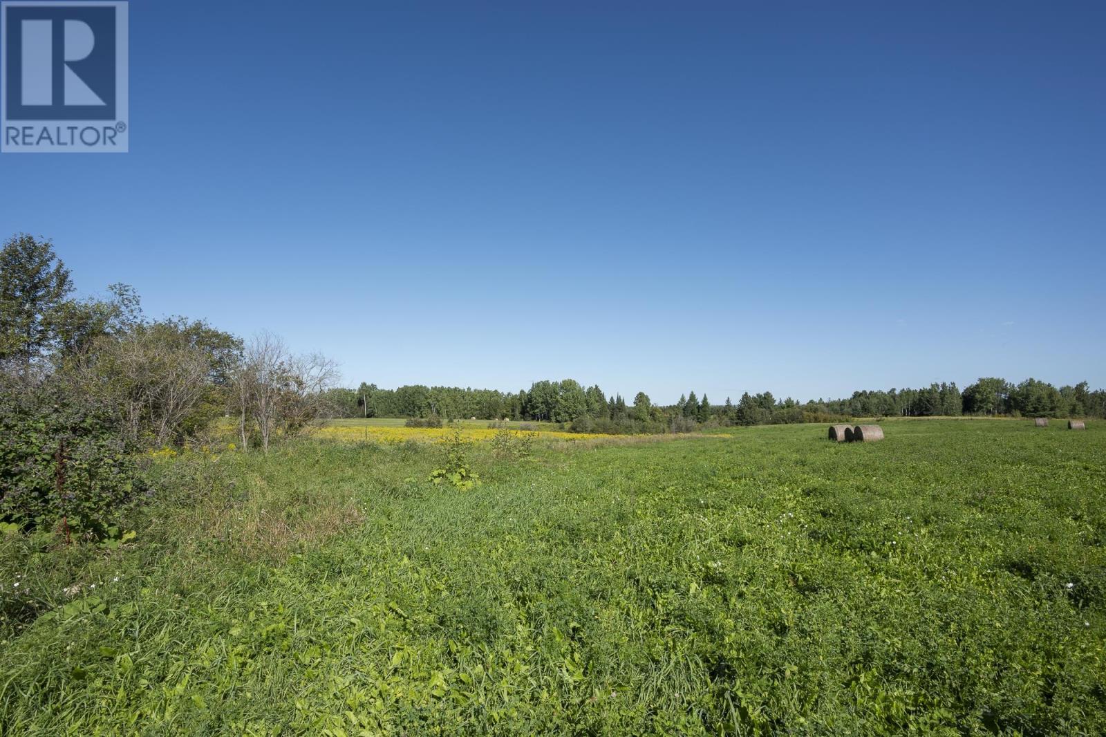 214 Barrie DR