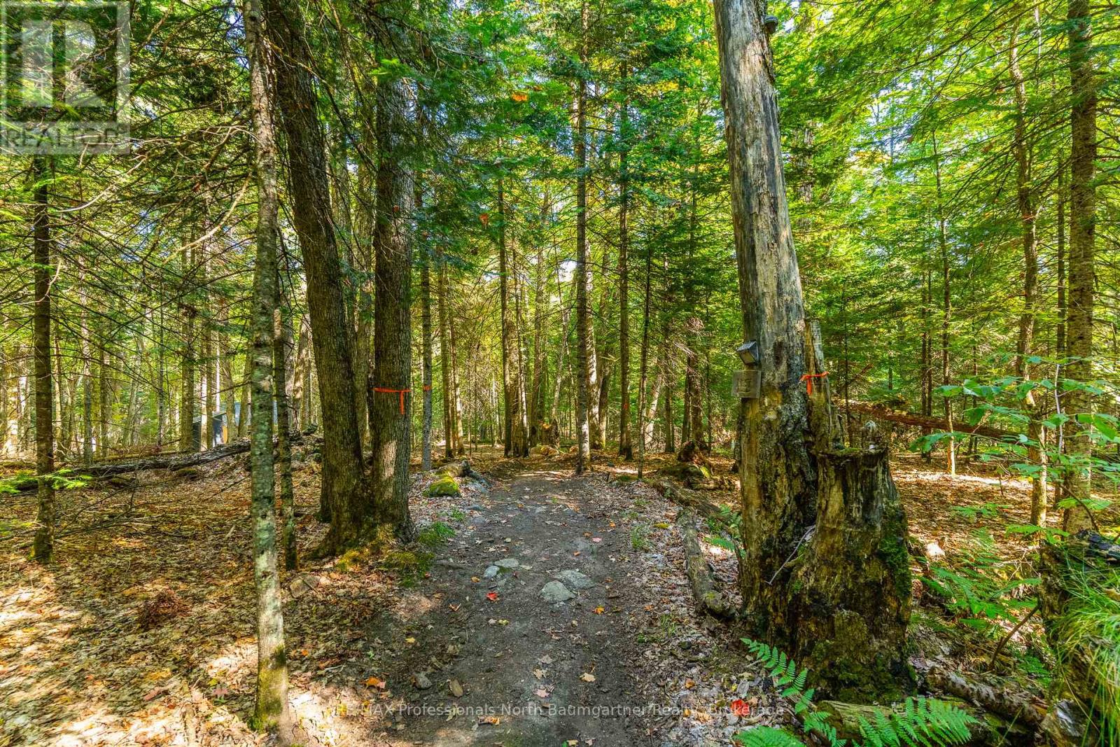 LOT 40 BASSHAUNT LAKE ROAD