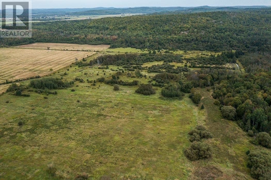 Calabogie Road/Hwy 17 NE Corner|Property 8