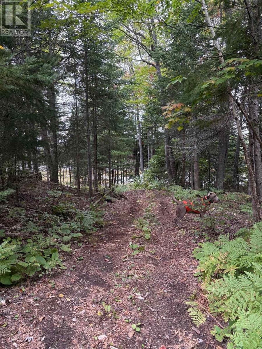 Lot 8 Richardson Drive