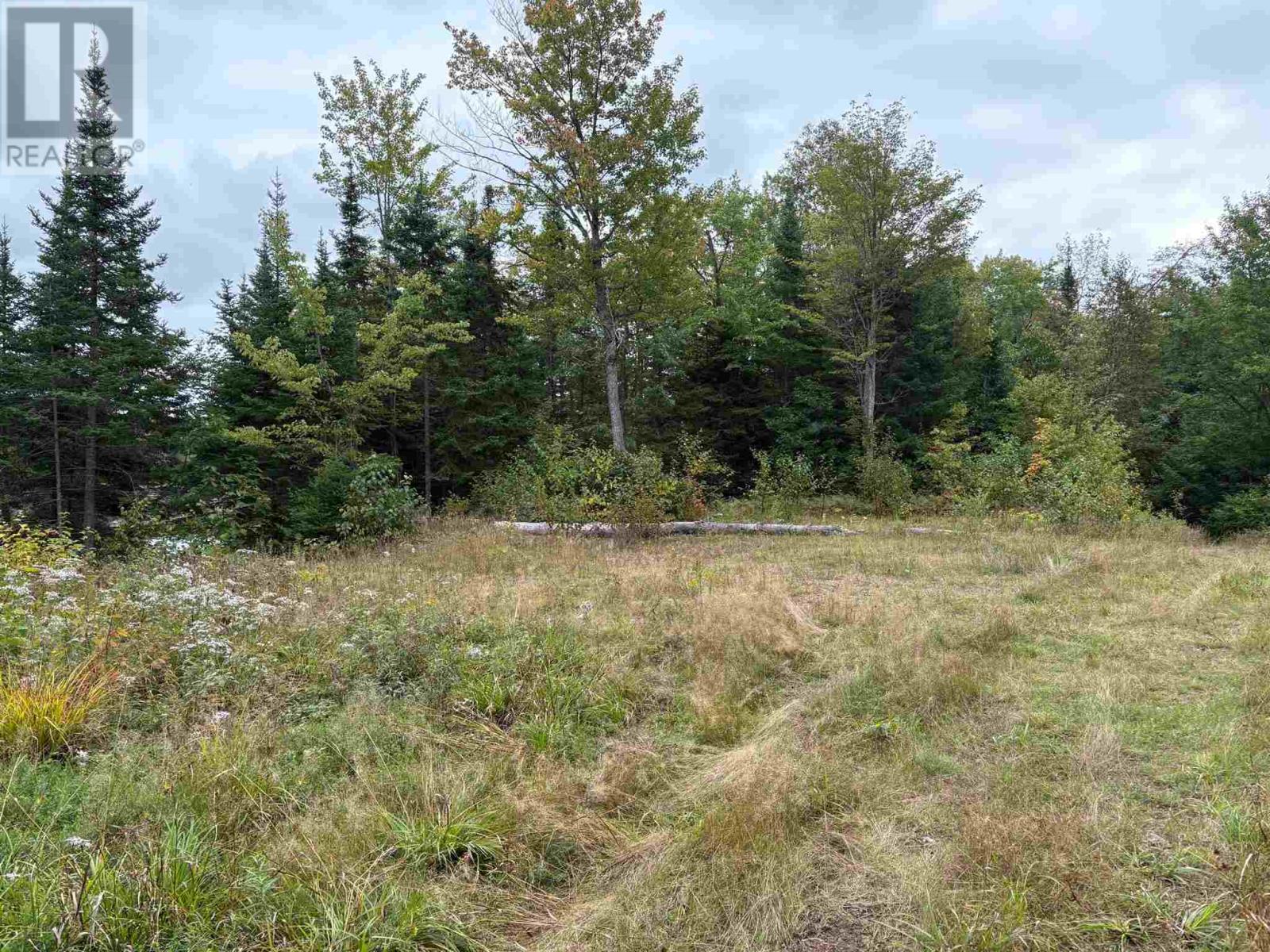 Lot 8 Richardson Drive