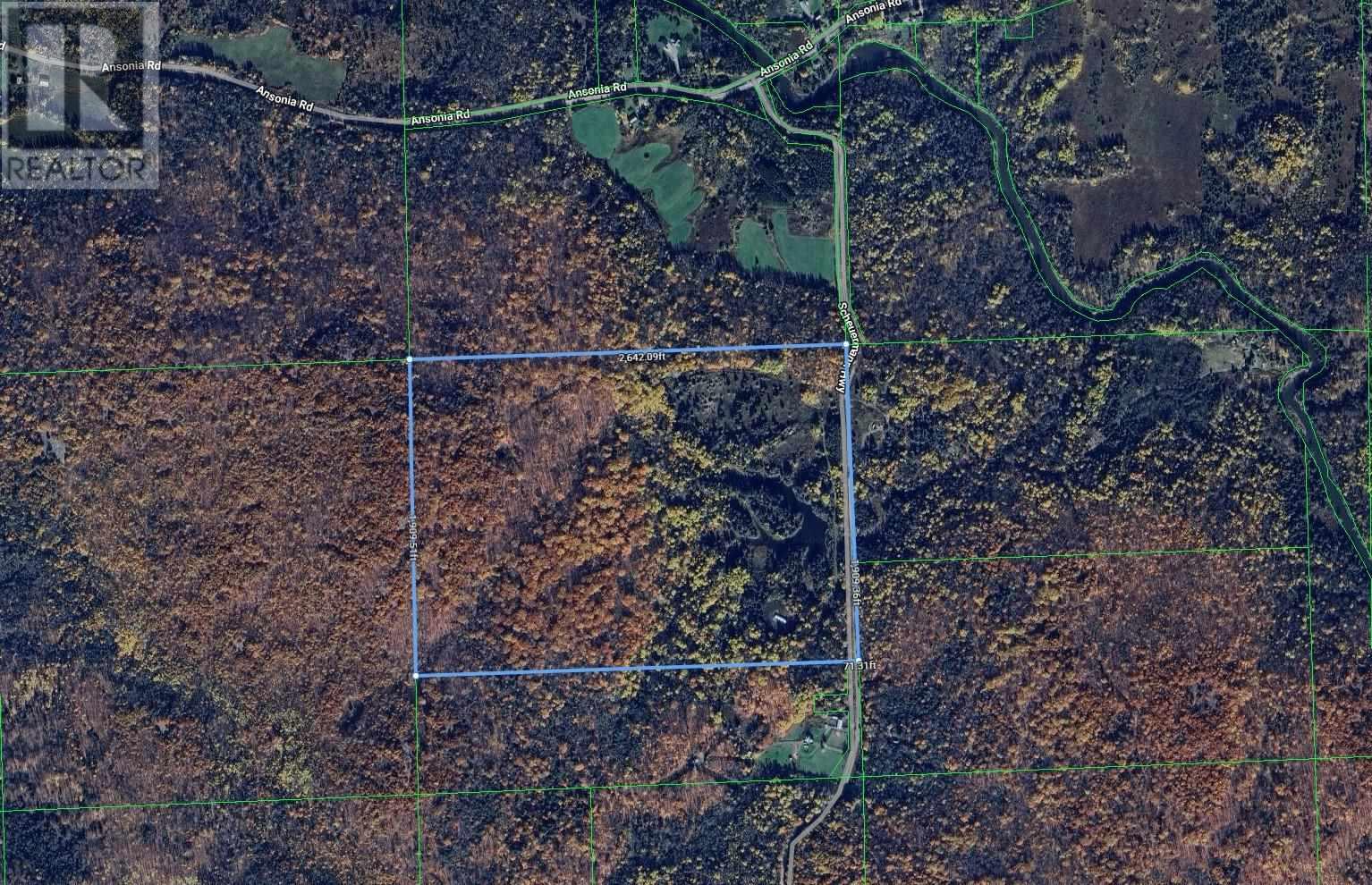 59 Scheuermann RD