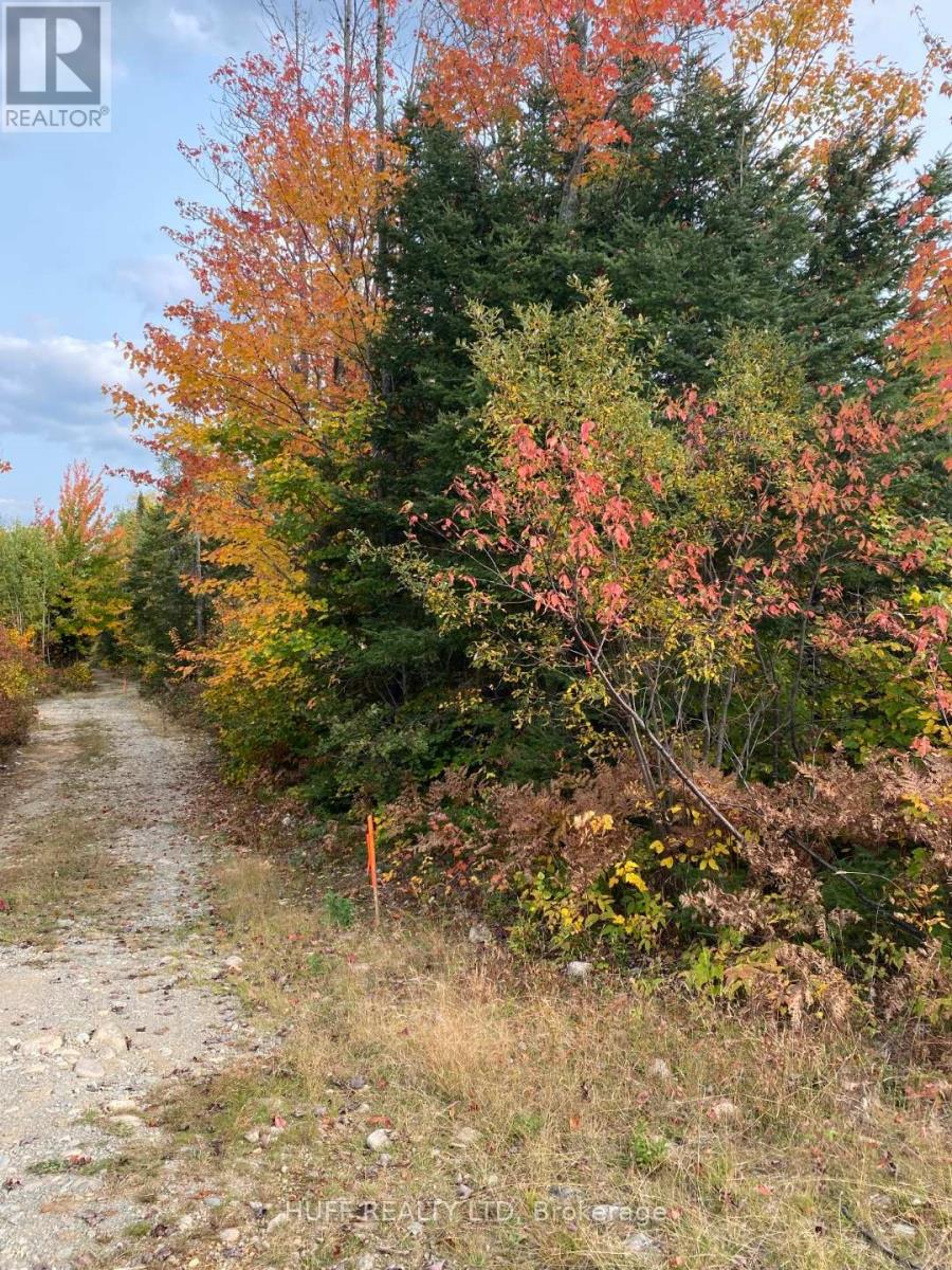 L1C1 54R-6371 CATHARINE ROAD