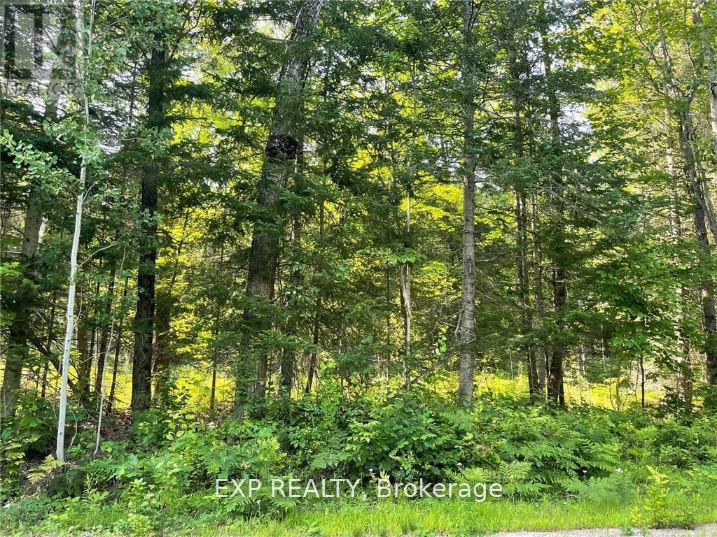 LOT B CHIPPAWA ROAD