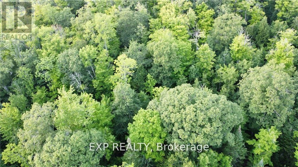 LOT B CHIPPAWA ROAD