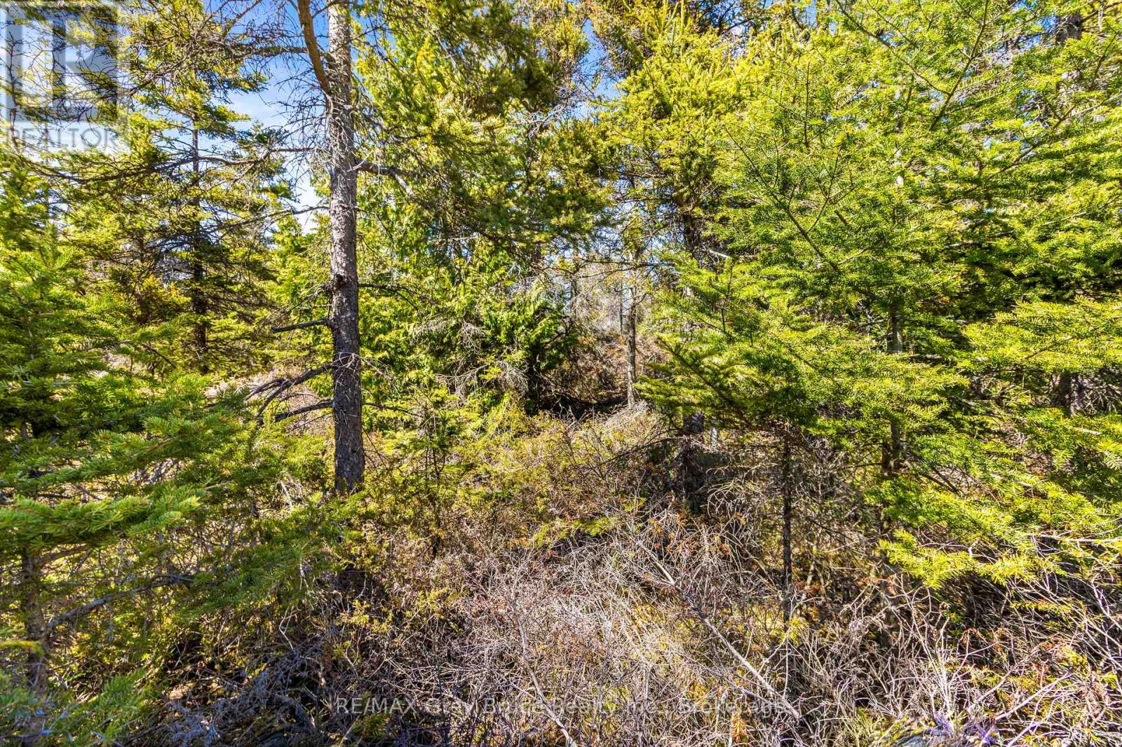 PT FM LT 4 CHI SIN TIB DEK ROAD