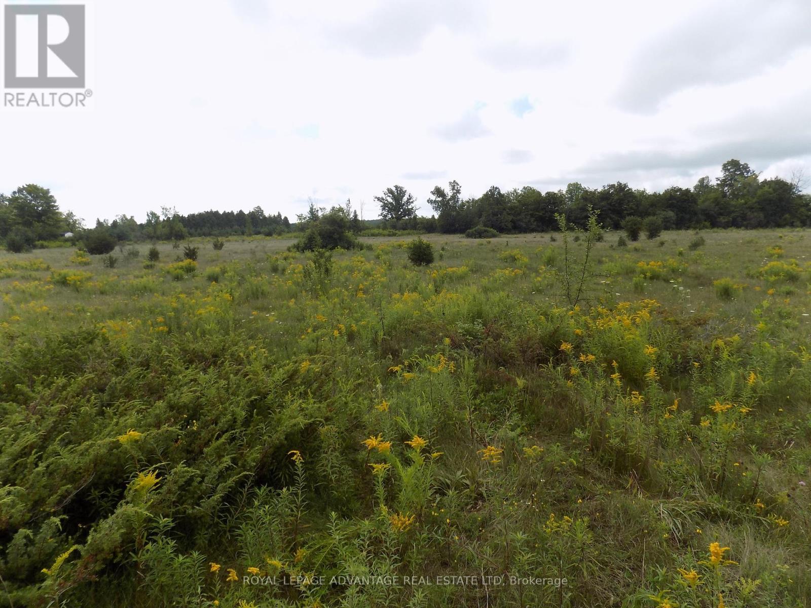 00 HWY 43 RD. W HIGHWAY