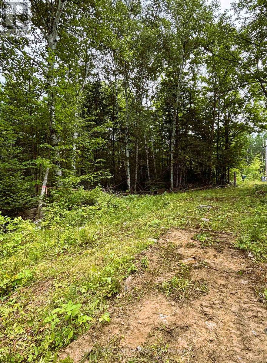 00 SIBERIA ROAD