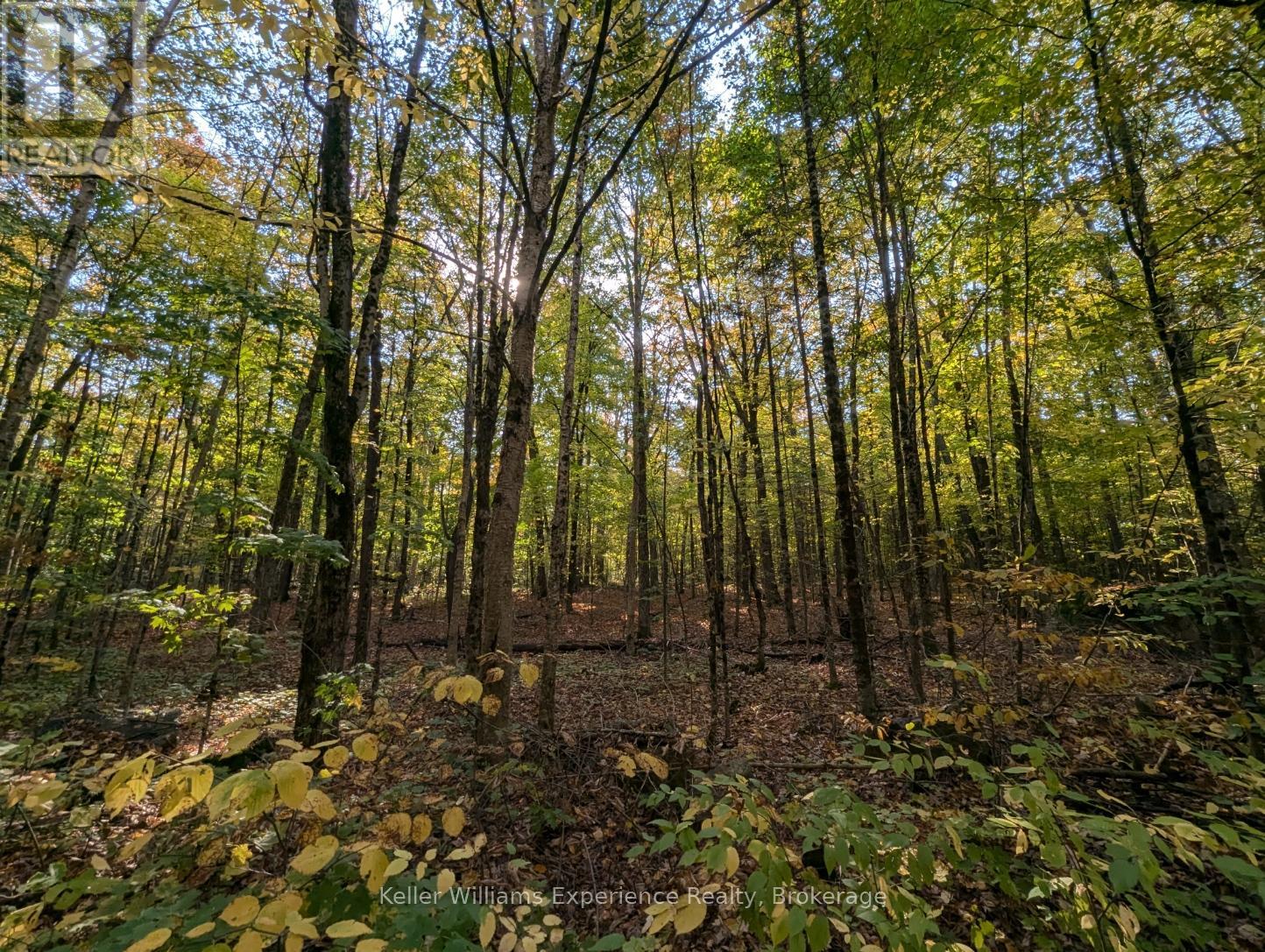 0 HEALEY LAKE ROAD