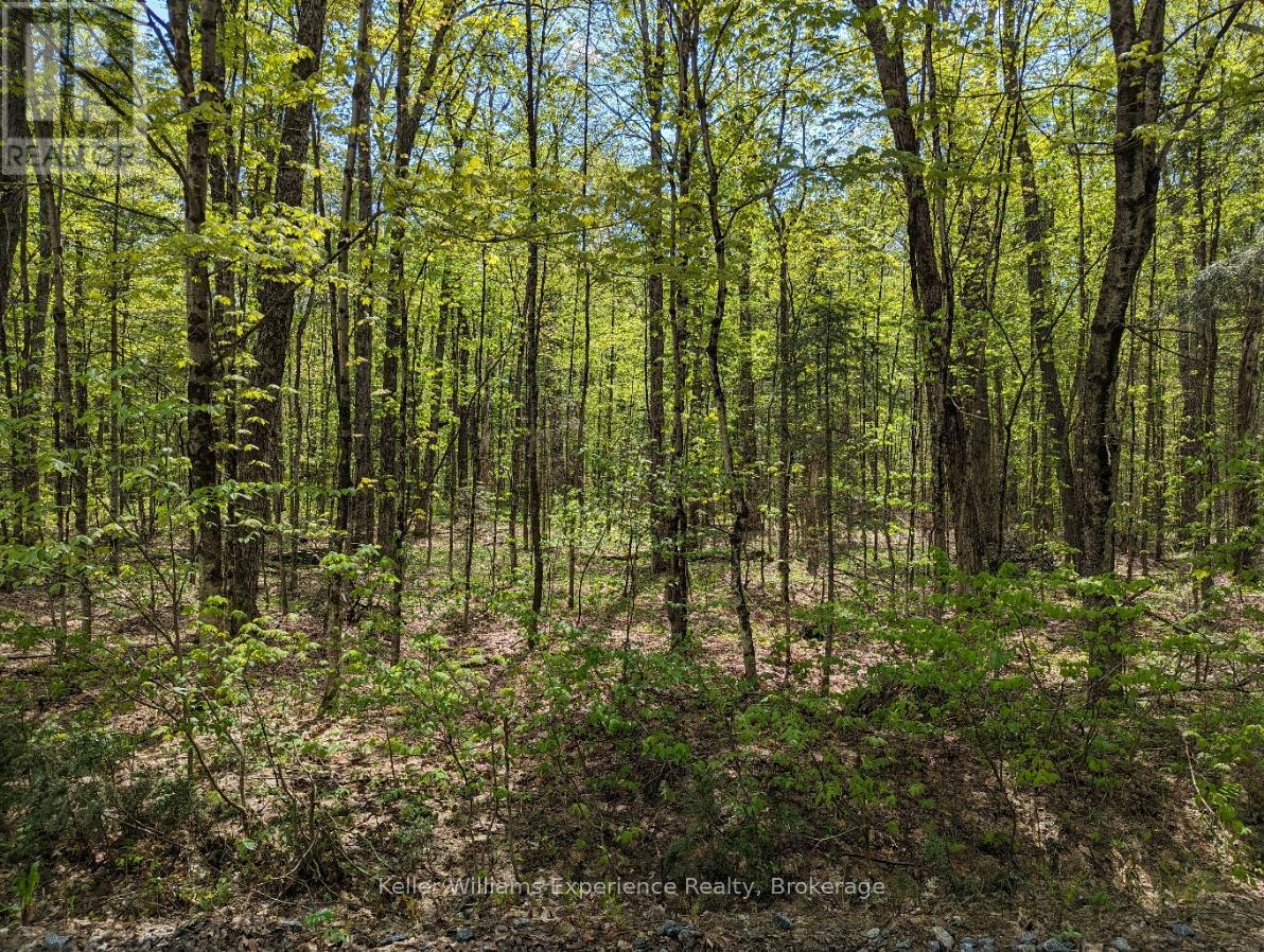 0 HEALEY LAKE ROAD
