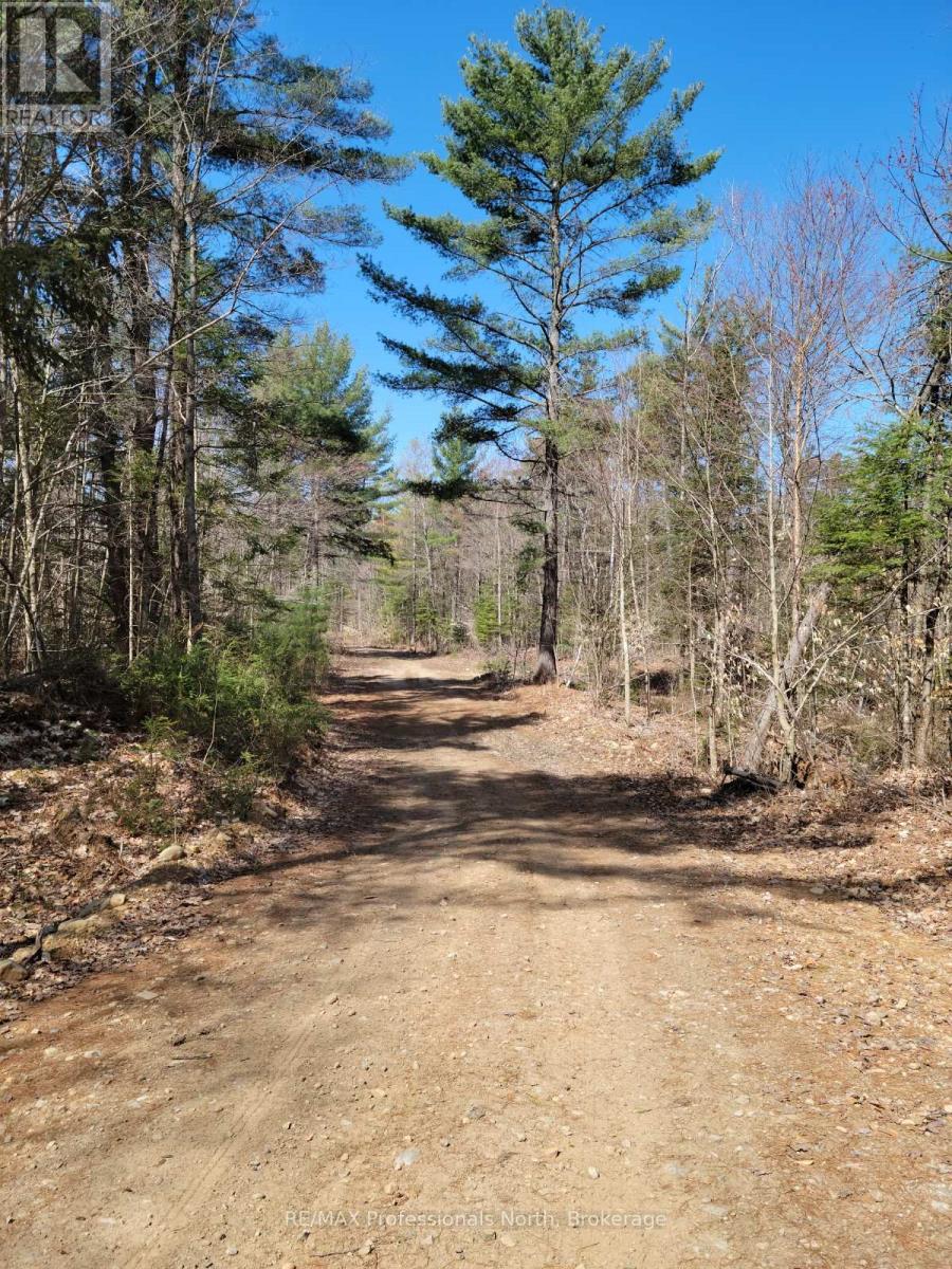 LOT 32 CONCESSION 11