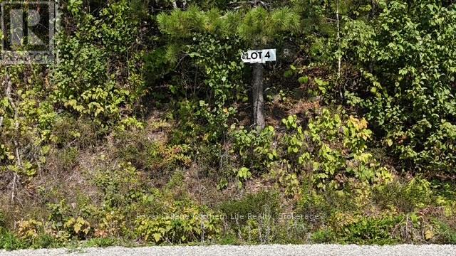LOT 4 FOX RUN DRIVE