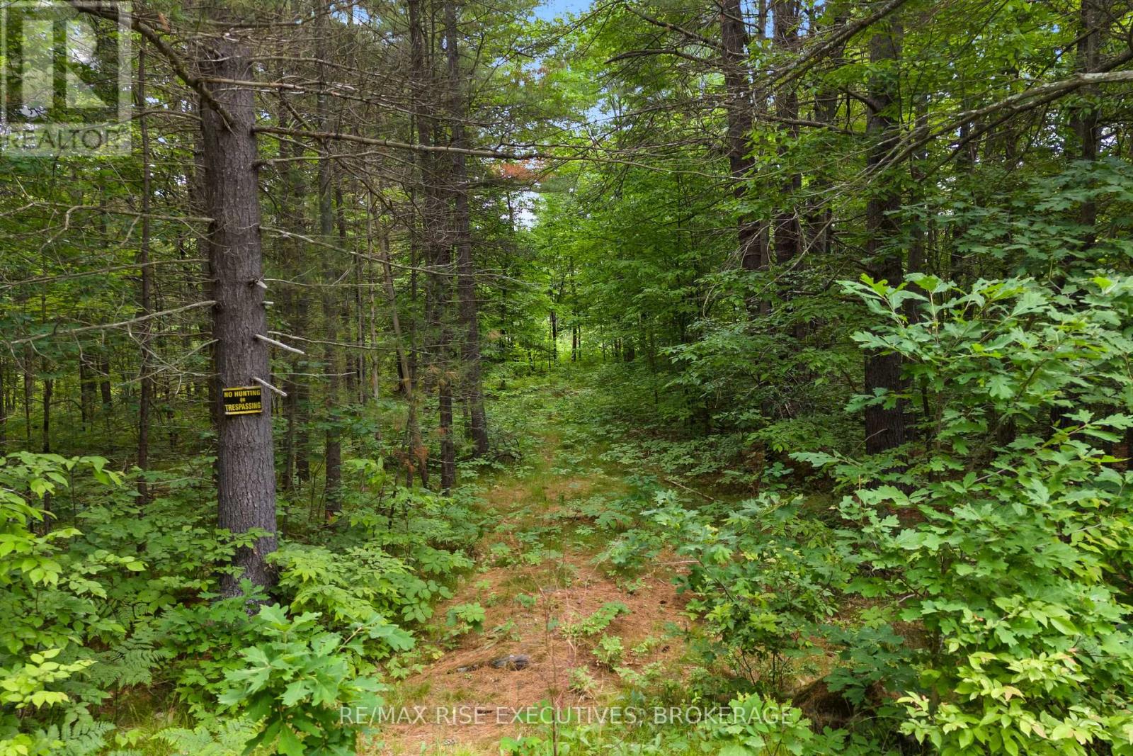LOT 16 ECHO LAKE ROAD