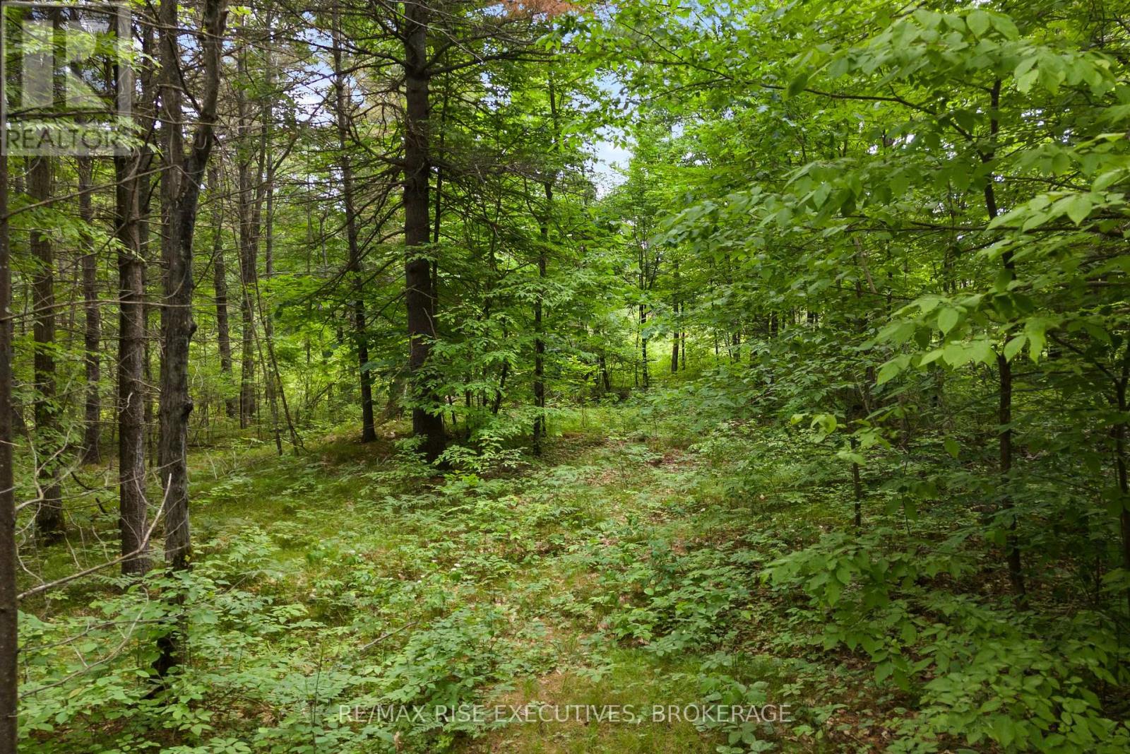 LOT 16 ECHO LAKE ROAD