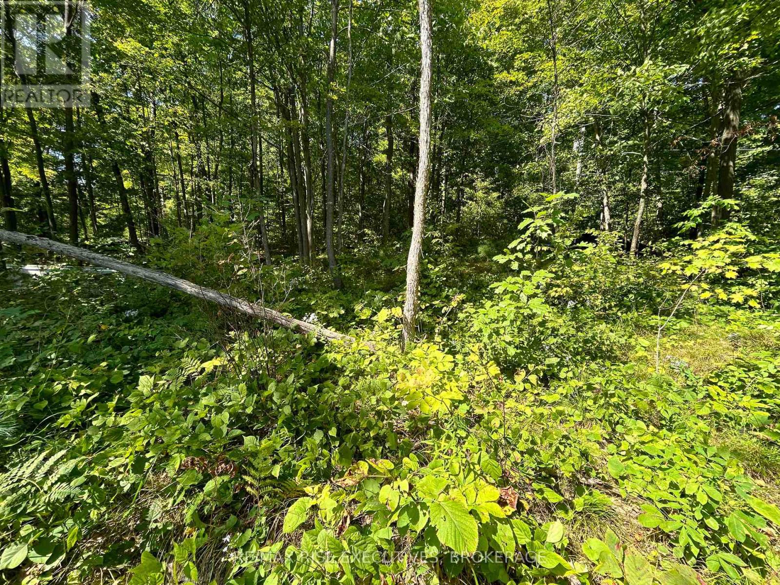 341 STEVE BABCOCK LANE