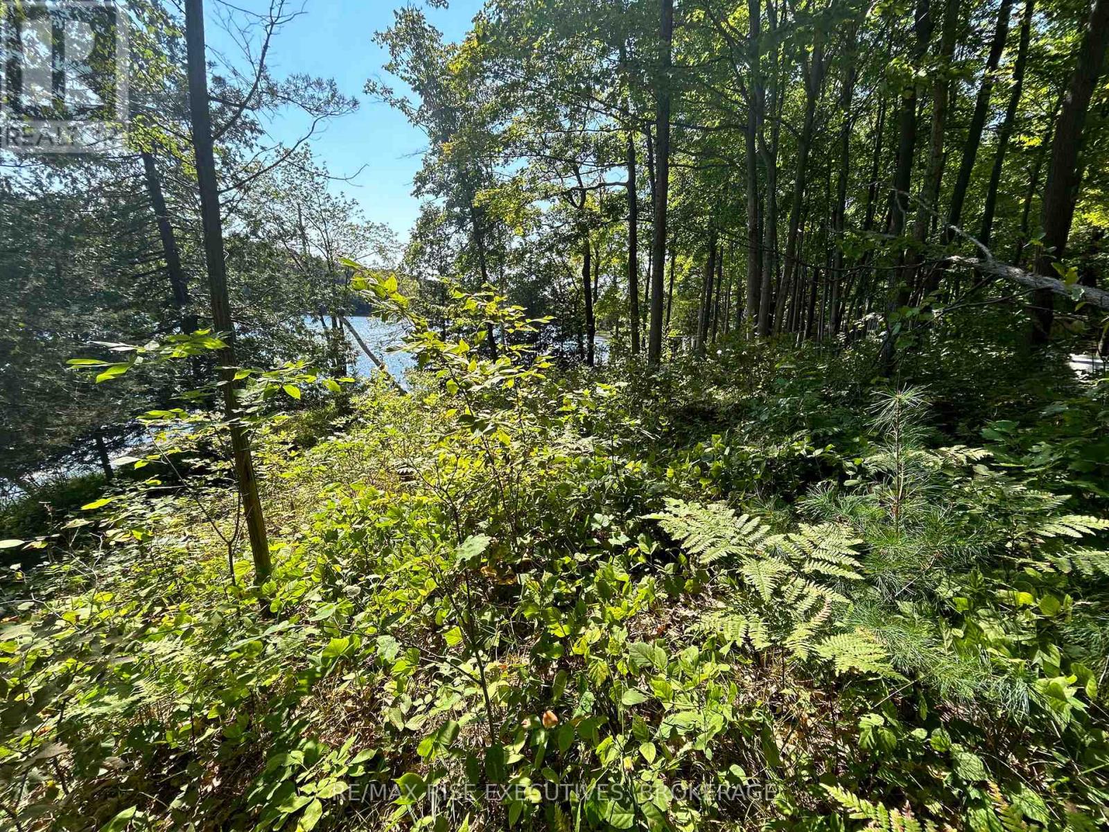 341 STEVE BABCOCK LANE