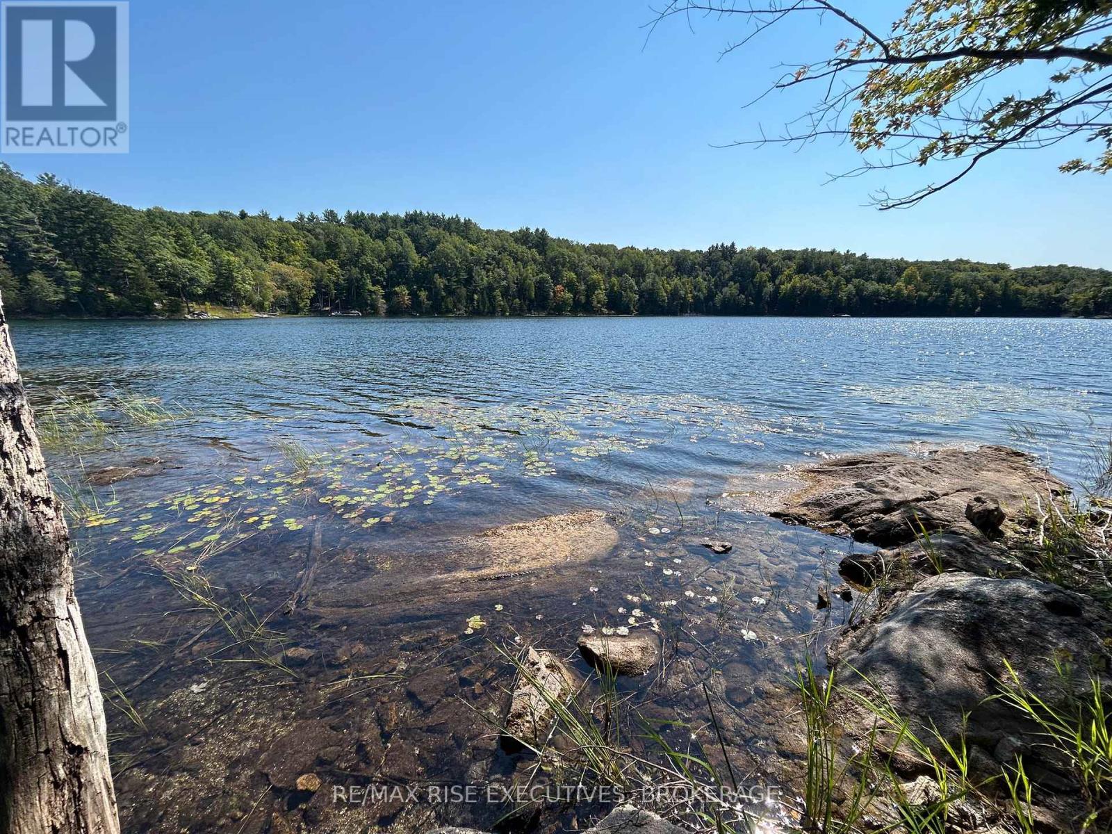 341 STEVE BABCOCK LANE