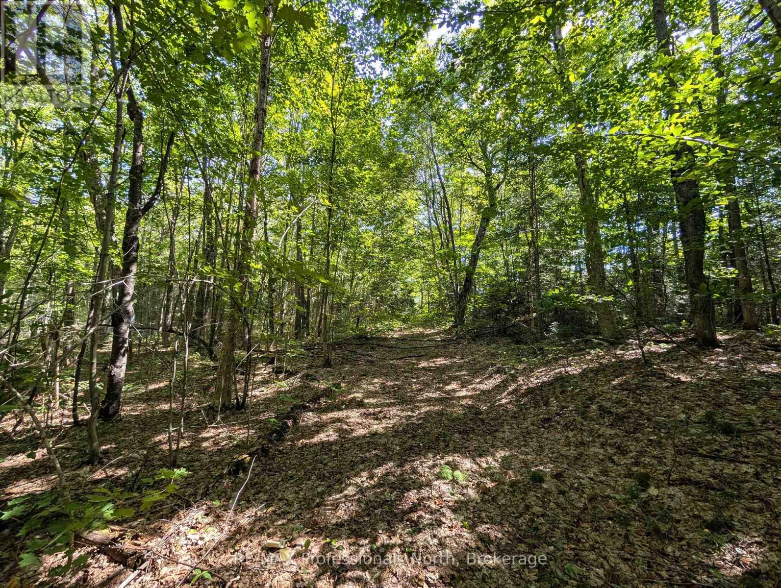 611 BRAY LAKE ROAD