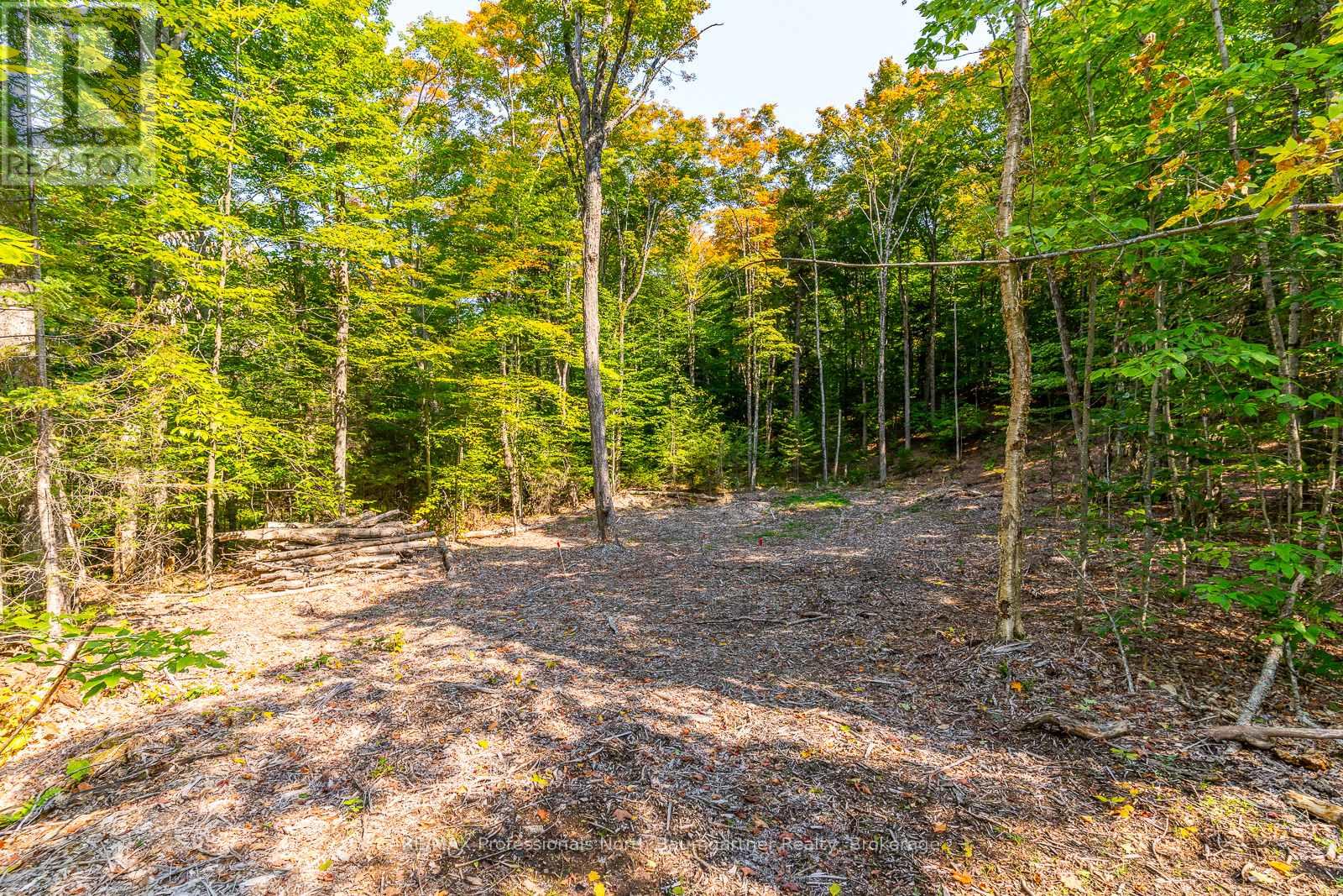 LOT 49 BASSHAUNT LAKE ROAD