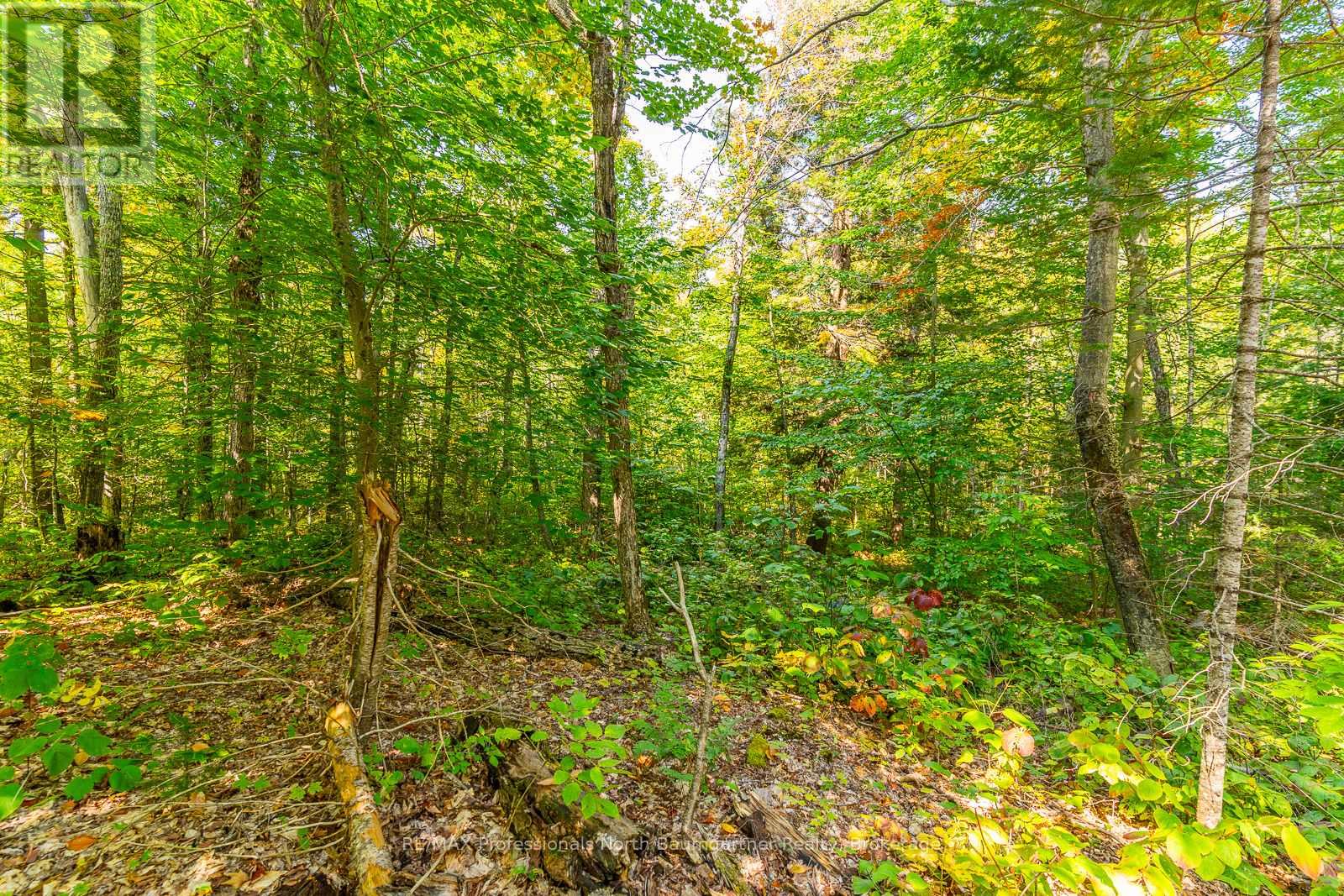 LOT 49 BASSHAUNT LAKE ROAD