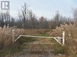 4942 COUNTY ROAD 34 ROAD