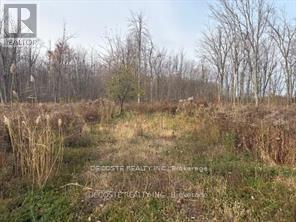 4942 COUNTY ROAD 34 ROAD