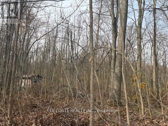 4942 COUNTY ROAD 34 ROAD