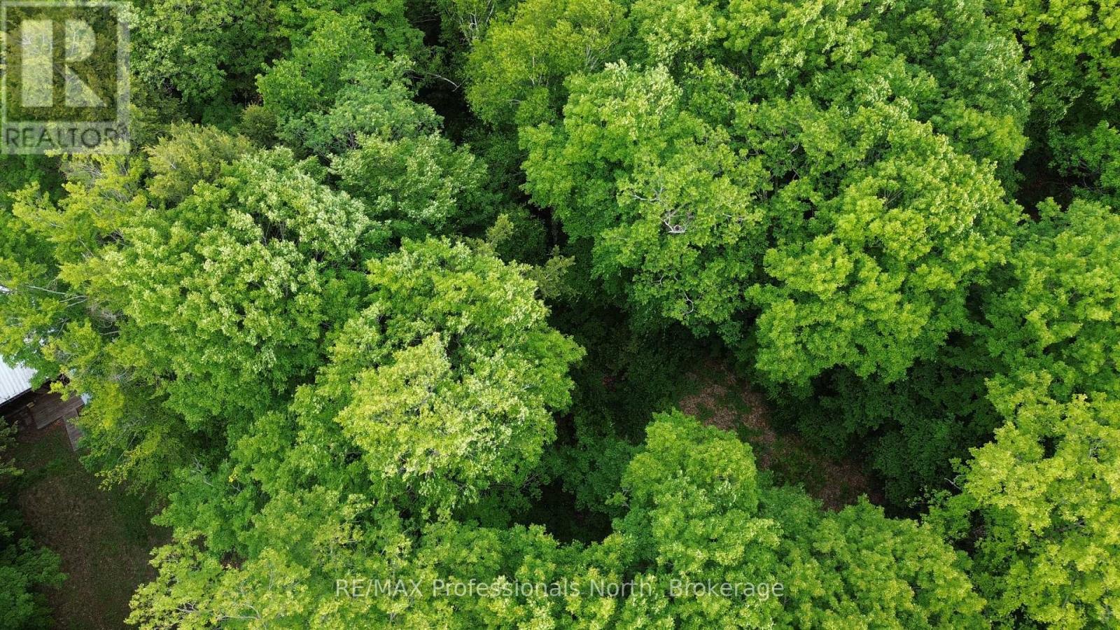 1012 BETULA CRESCENT