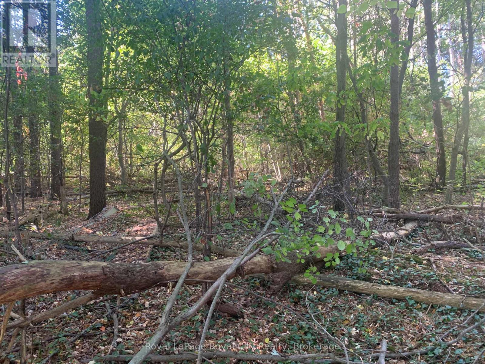 7244 WELLINGTON ROAD 124 ROAD