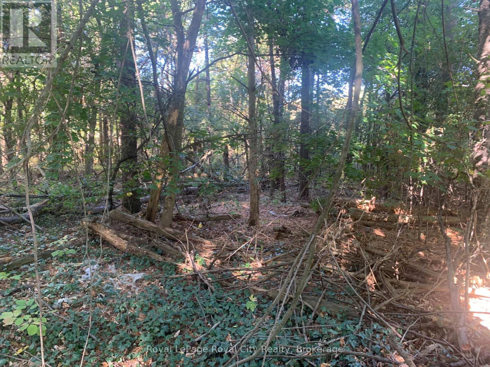 7244 WELLINGTON ROAD 124 ROAD