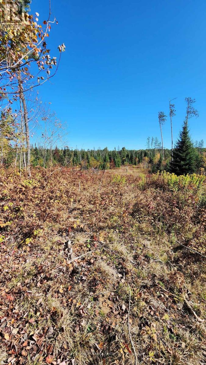 00 RED PINE TRAIL