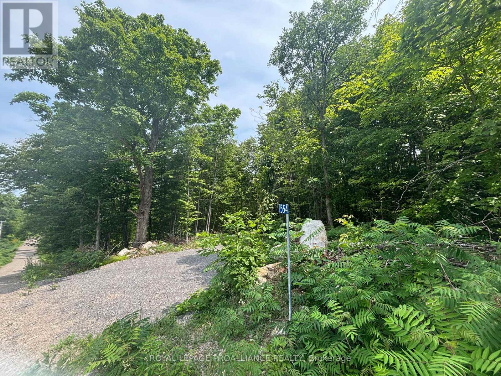 SEVERED B – 554 PIGDEN ROAD