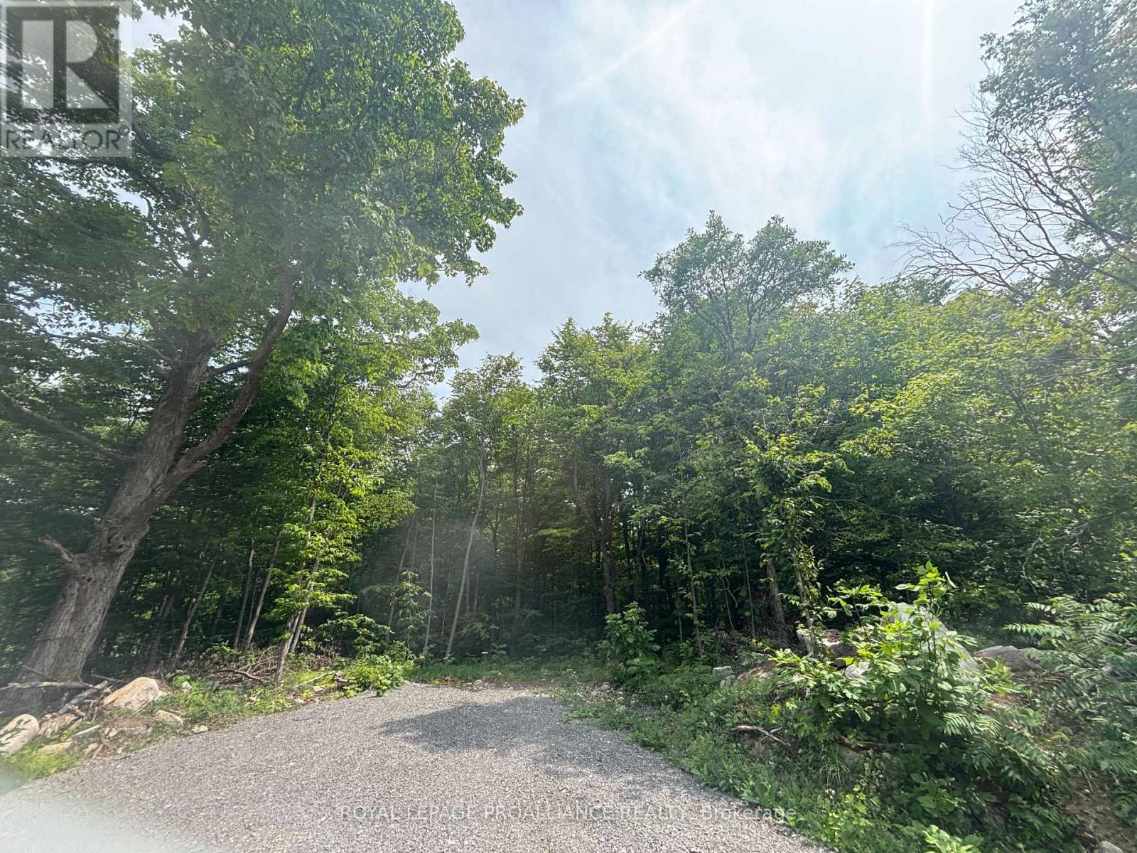 SEVERED B – 554 PIGDEN ROAD