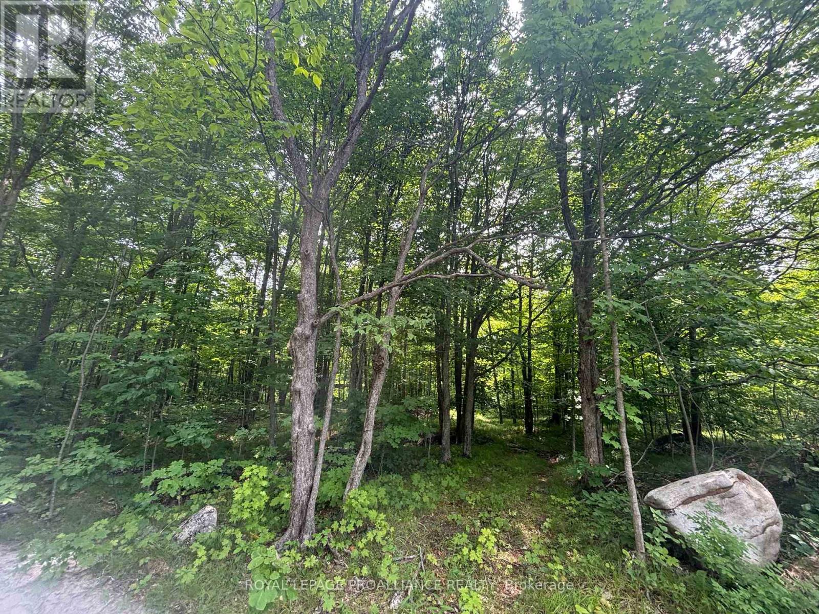 SEVERED B – 554 PIGDEN ROAD
