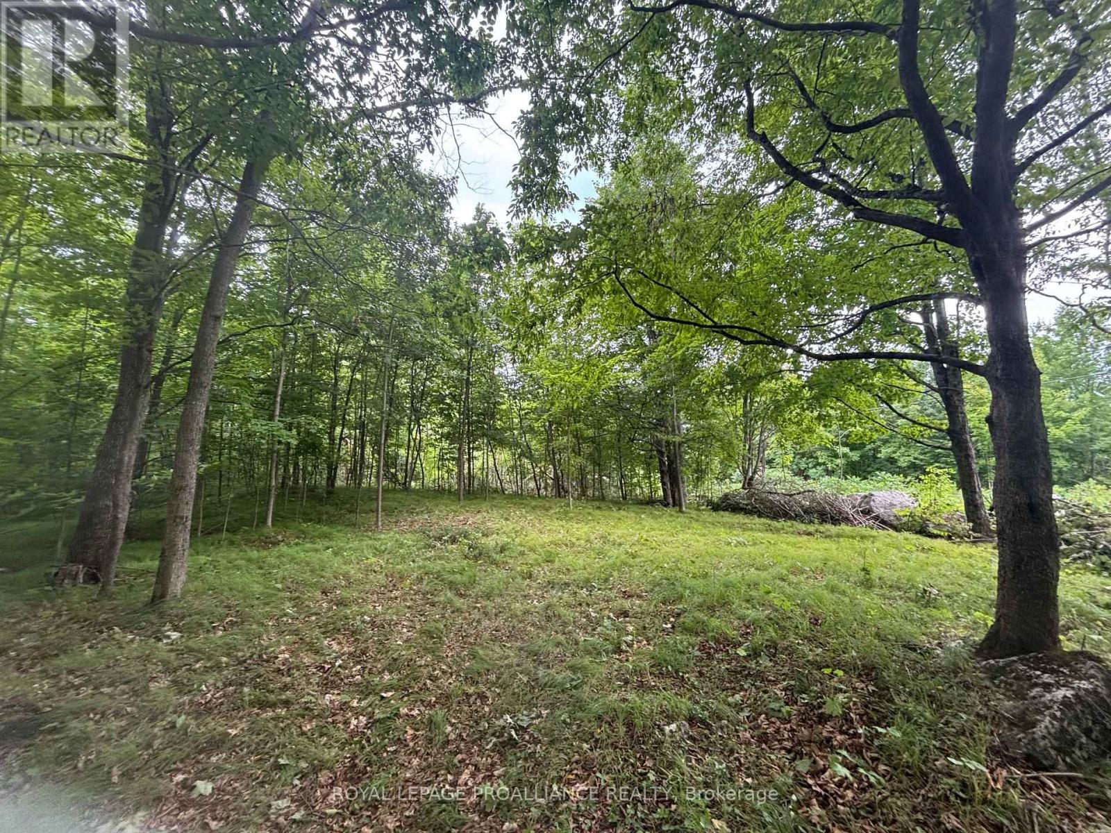 SEVERED B – 554 PIGDEN ROAD