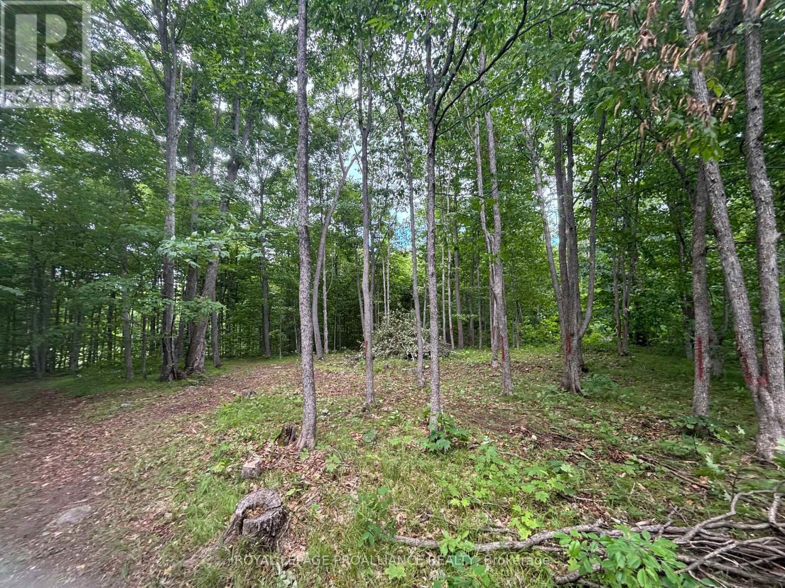 SEVERED B – 554 PIGDEN ROAD