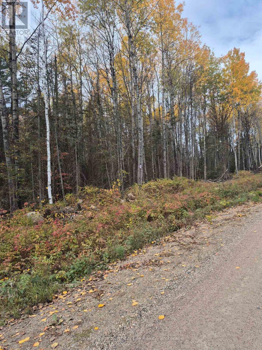 PT LOT 1 CON 9 ARCHAMBEAULT ROAD