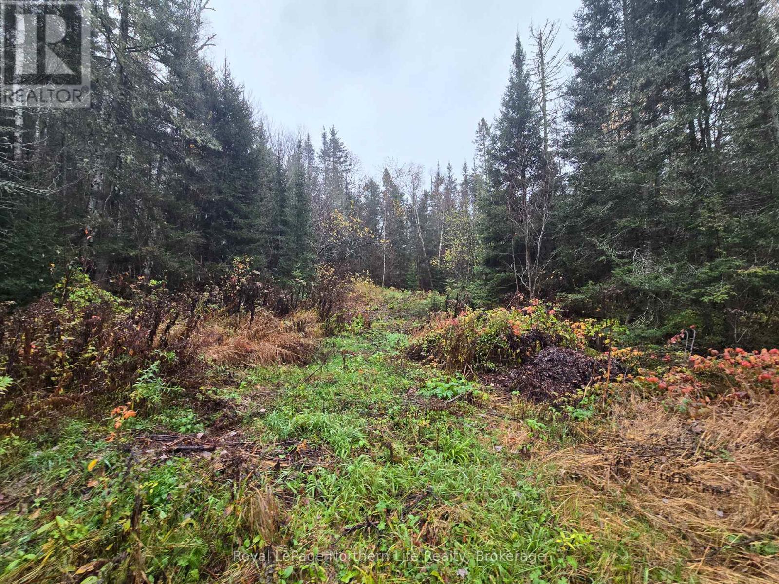 942 DEVELOPEMENT ROAD