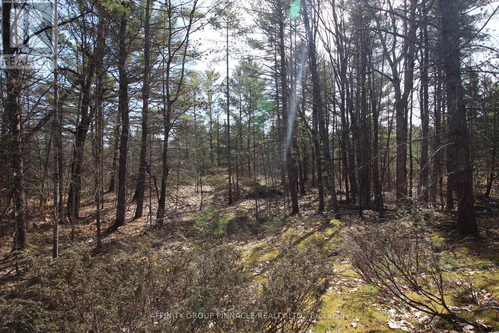 LOT 15 CONCESSION 9