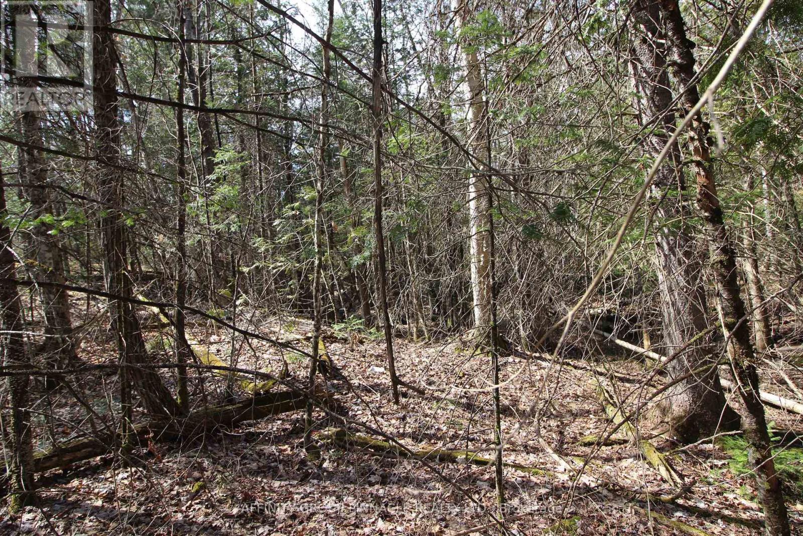 LOT 15 CONCESSION 9