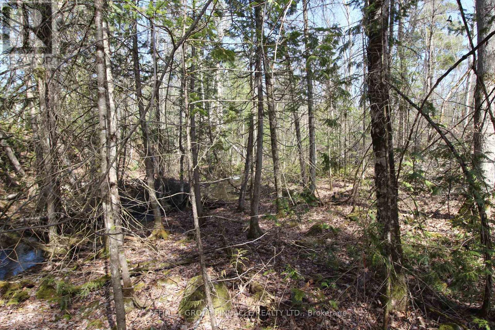 LOT 15 CONCESSION 9