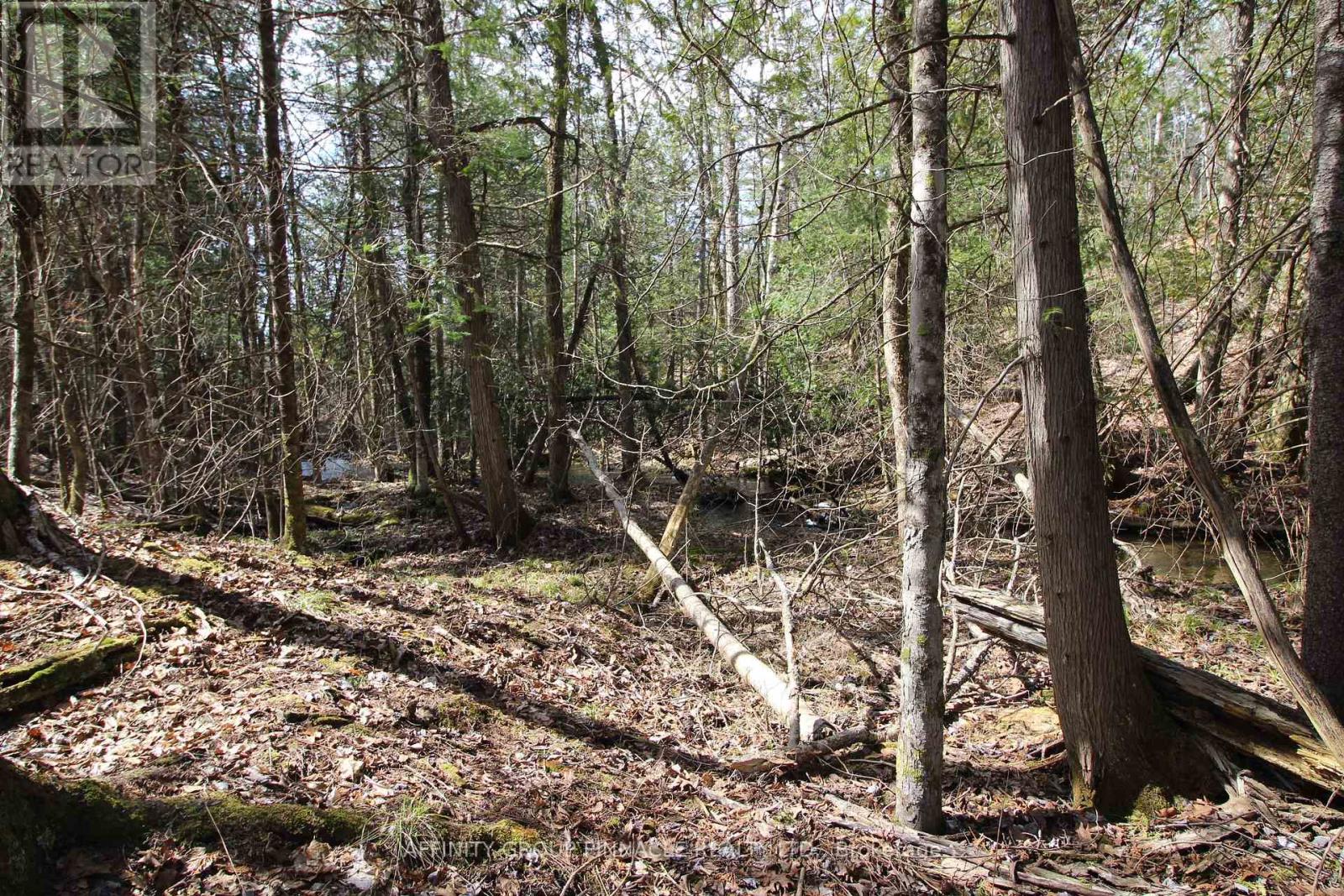 LOT 15 CONCESSION 9