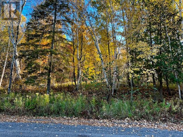 LOT 16 SEYMOUR STREET