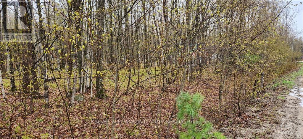 LOT 15 HOLLIE DRIVE