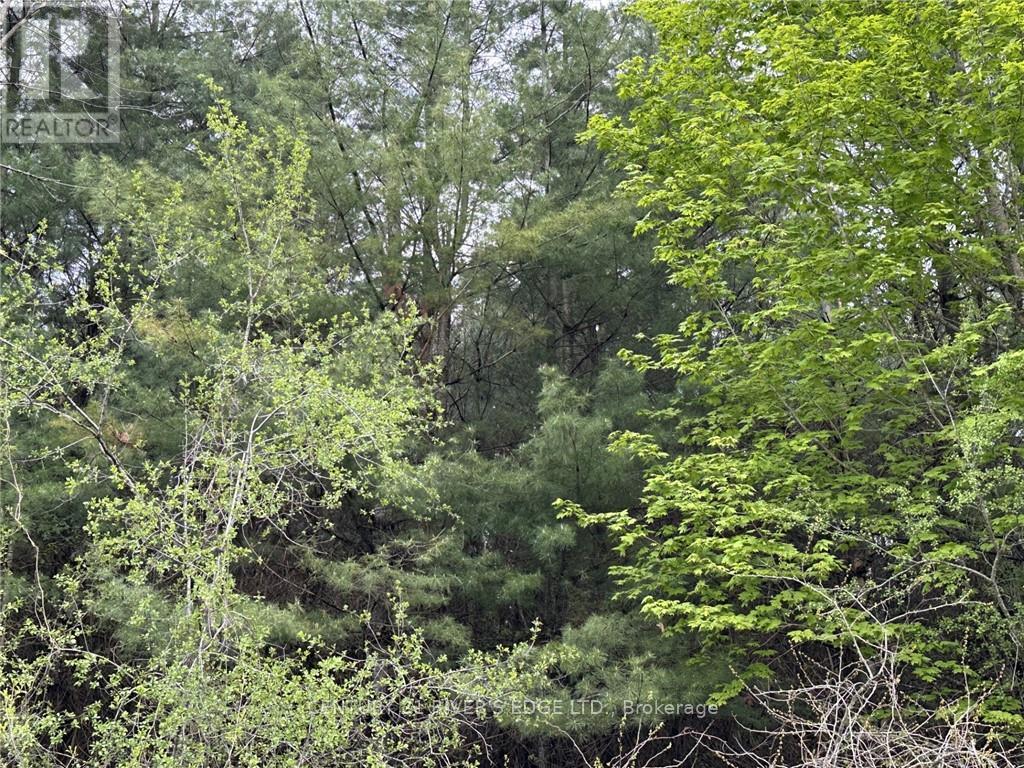 12082 LAND O’NOD ROAD
