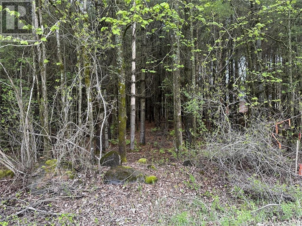12082 LAND O’NOD ROAD