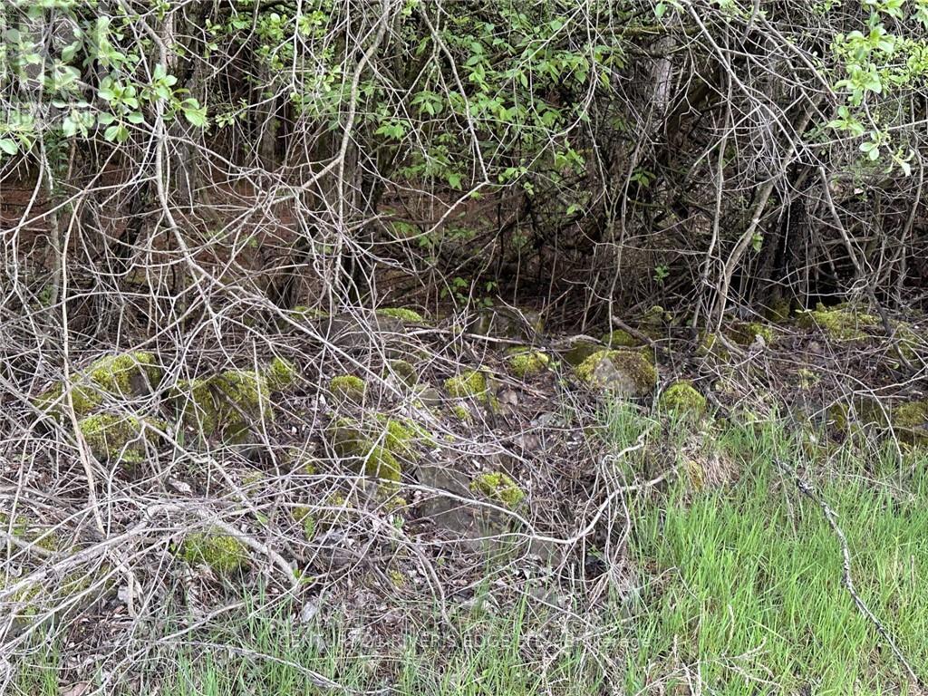 12082 LAND O’NOD ROAD