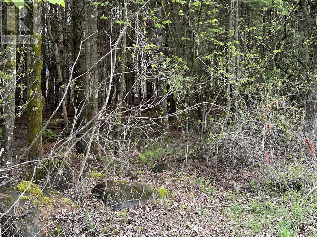 12082 LAND O’NOD ROAD